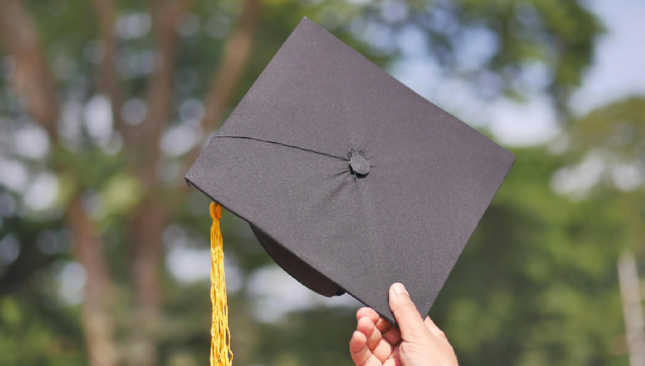 about_banner_background_image